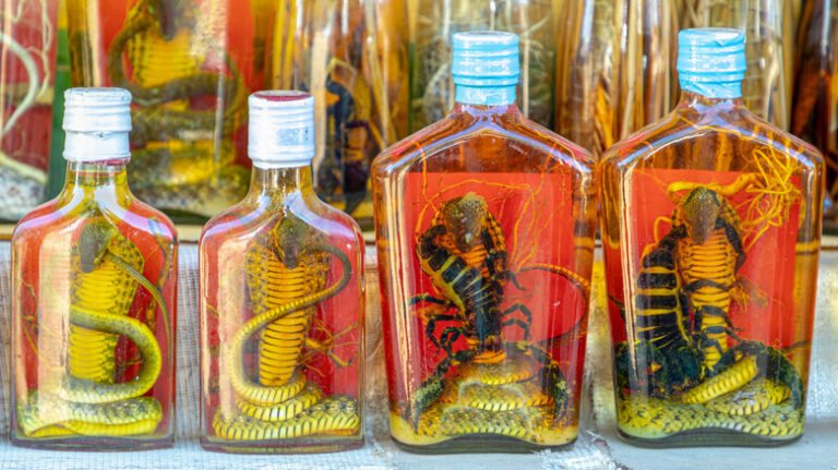 selective,focus,glass,bottles,of,fermented,liquor,with,snake,,scorpion,