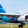 pesawat garuda ig