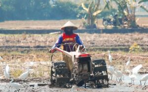 petani kementan instagram