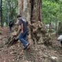 koin jagat