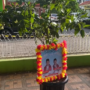 cuplikan layar 2025 02 22 122727