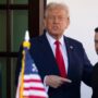 donald trump and volodymyr zelenskyy