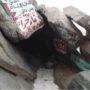 www.harapanrakyat.com