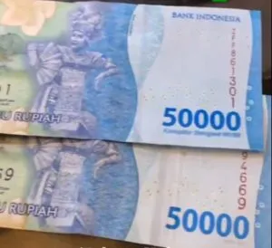 50 x