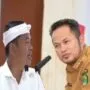 dedi harum