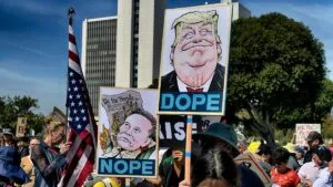 demo trump musk ap