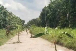 jalan 1000 lubang x