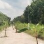 jalan 1000 lubang x