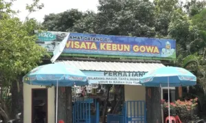 keidenesiafile