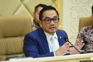 rifqinizamy karsayuda dpr