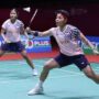 apri febi semi ig