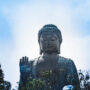 buddha 1200x834