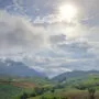 forest and mountain landscape view