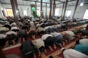 haji elik 1 e1582806811101