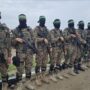 hamas anadolu