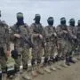 hamas anadolu
