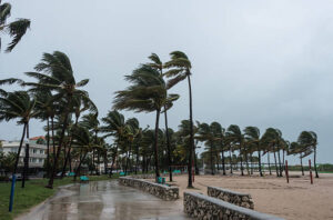 beach before the storm