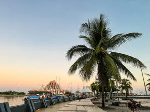 istockphoto 2210307091 612x612