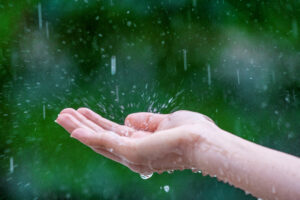 close up of wet female hands in rain