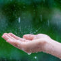 close up of wet female hands in rain