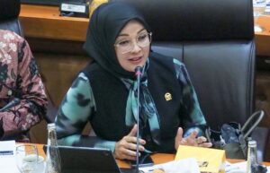 erna sari dewi dpr nasdem