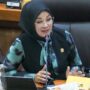 erna sari dewi dpr nasdem