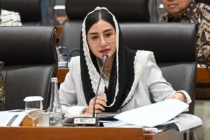 novita hardini dpr