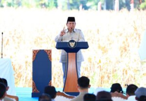 prabowo jagung