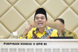 zulfikar arse sadikin