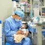 bayi tiongkok alamy