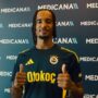 brown fenerbahce