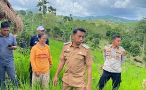 bupati sdirap