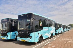 bus trans sulsel1