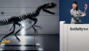 dinosaurus shoby