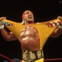 hulk hogan