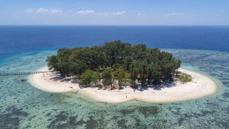 ig@visitsulselofficial