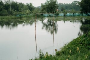 img 7239