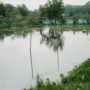 img 7239