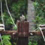 img 7346