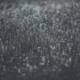 img 7417