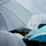 img 7472