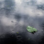 img 7474