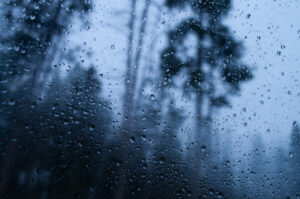 img 7486