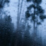 img 7486