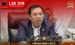 lasaurus pdip