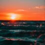 pexels 13nuance 561463