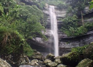 www.gotravelly.com