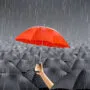 red umbrella under rain