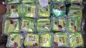 barang bukti 80 kg sabu di pare pare dok istimewa 1754902056379 169