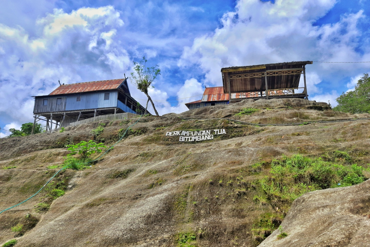 dok. google maps